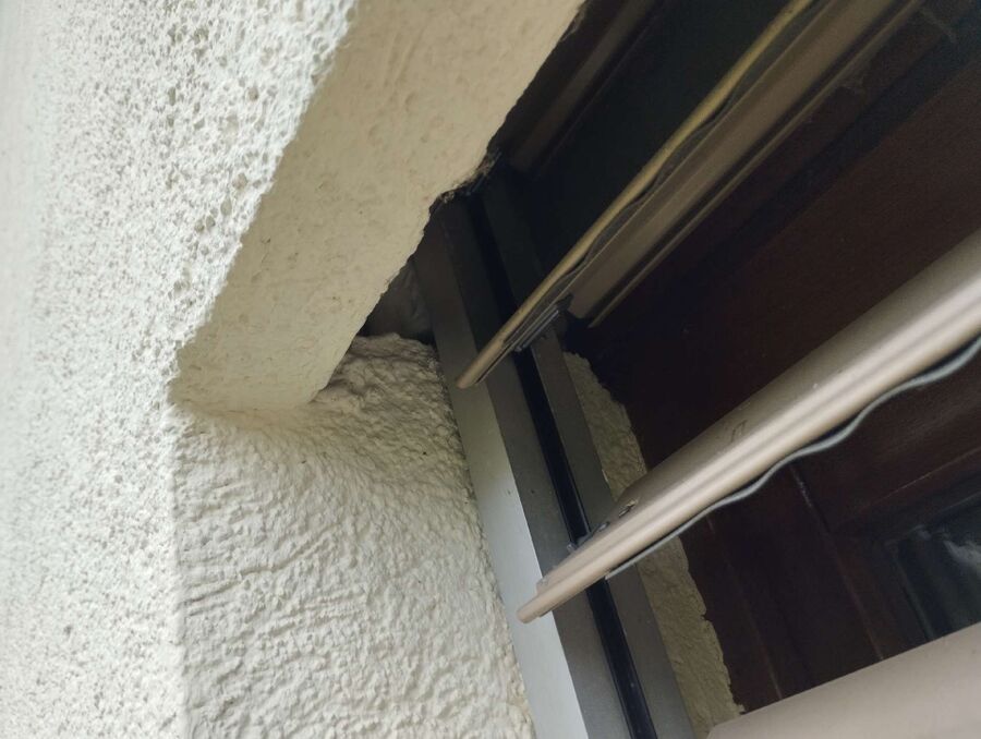  Bienennest entfernen.jpeg