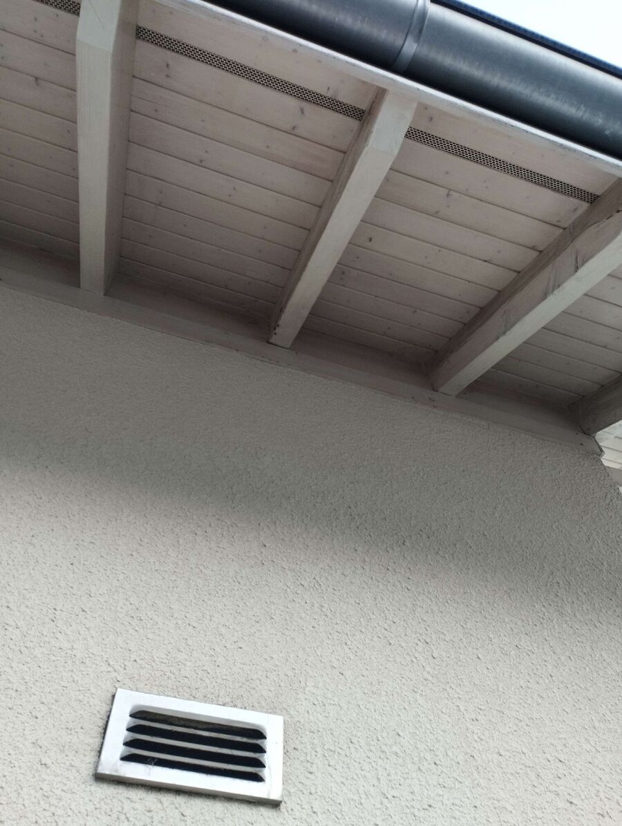  Bienennest entfernen