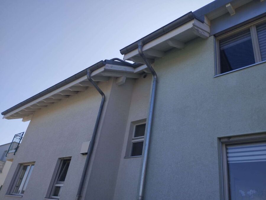  Bienennest entfernen