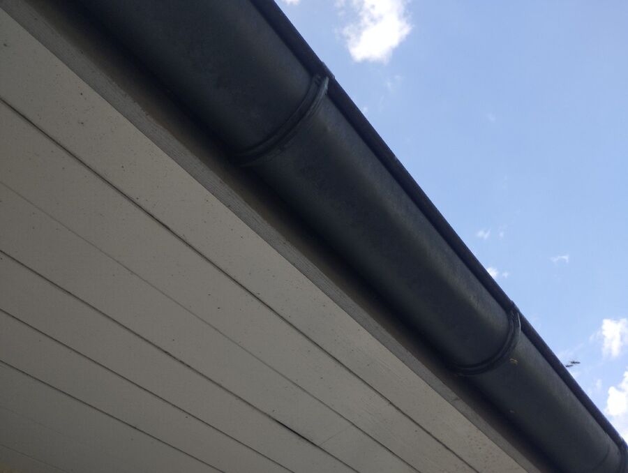 Bienen umsiedeln &  Bienennest entfernen 