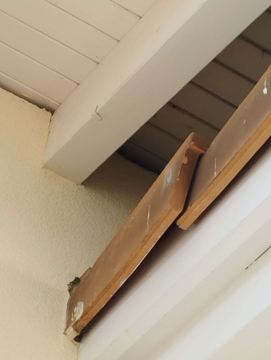  Bienennest entfernen