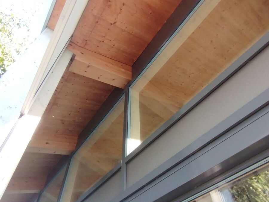  Bienennest entfernen.jpeg