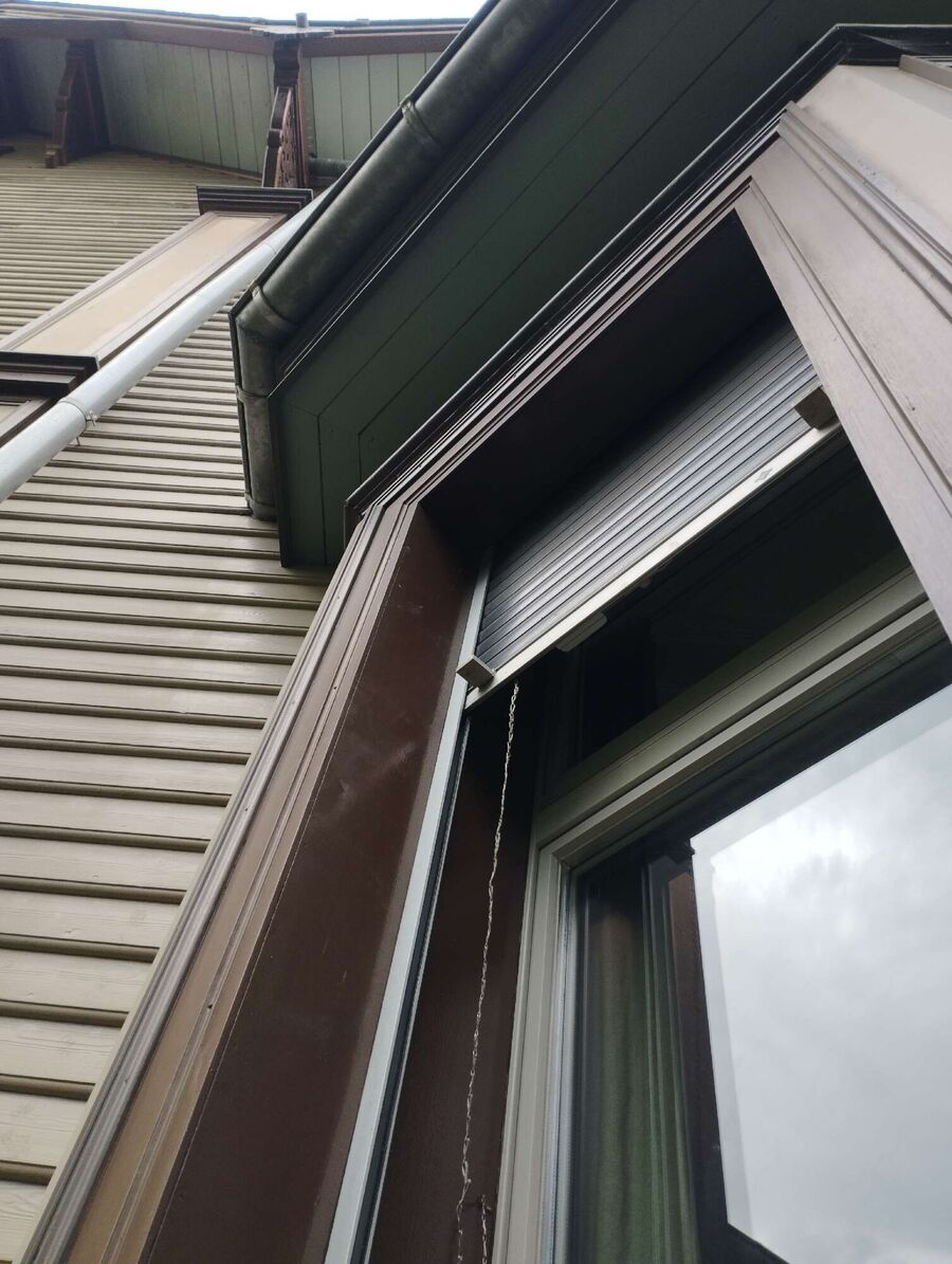  Bienennest entfernen