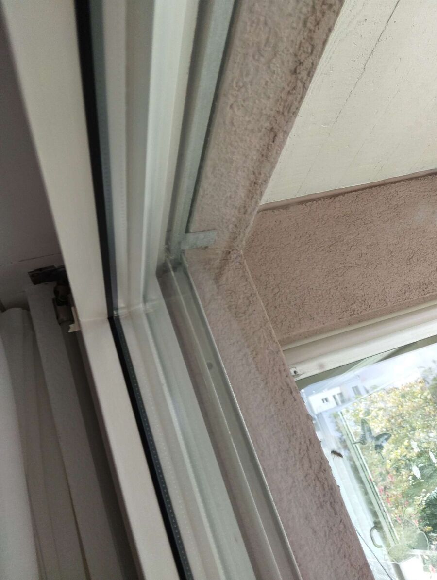 Bienen umsiedeln &  Bienennest entfernen 