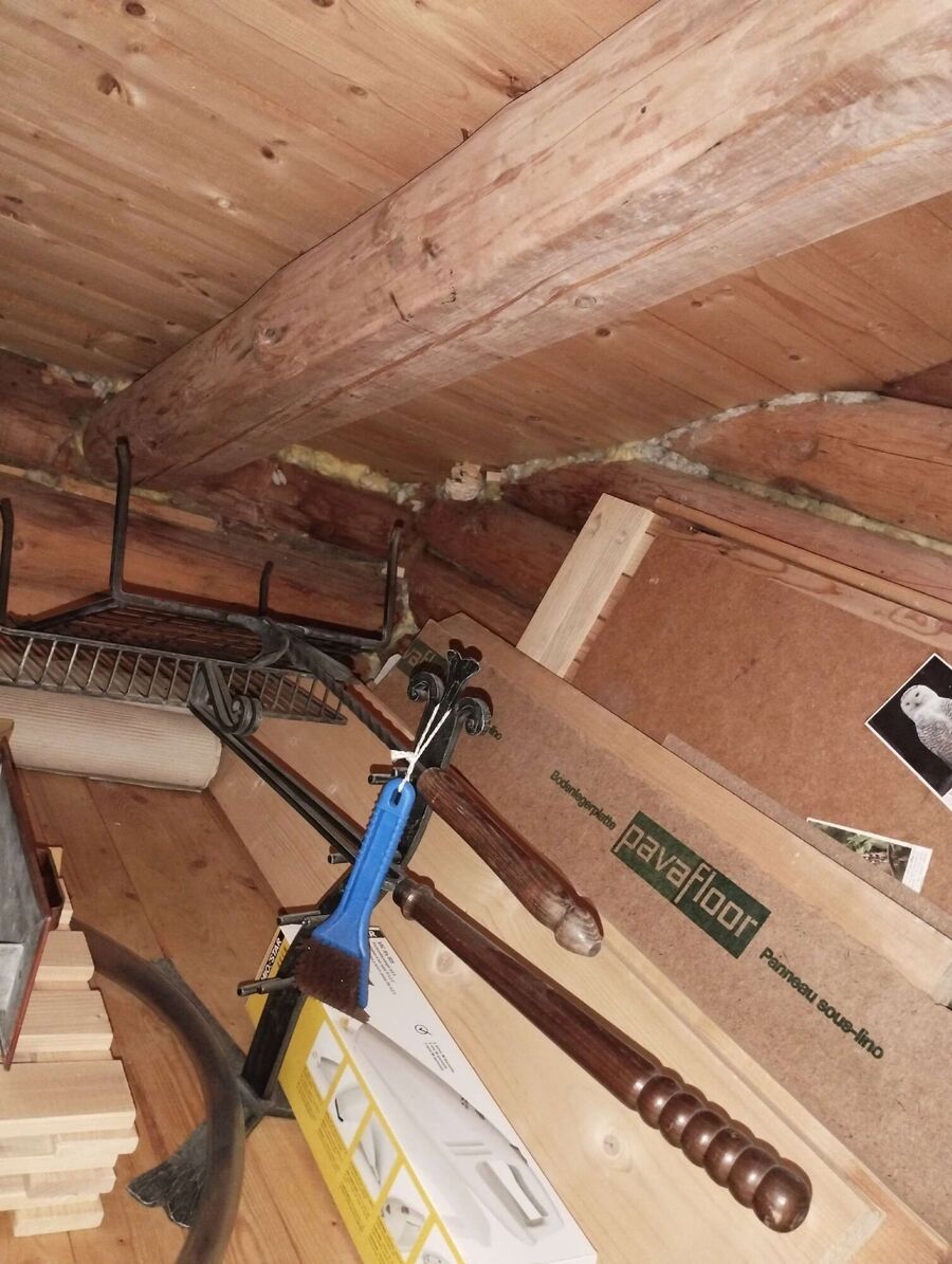 Bienen umsiedeln &  Bienennest entfernen 