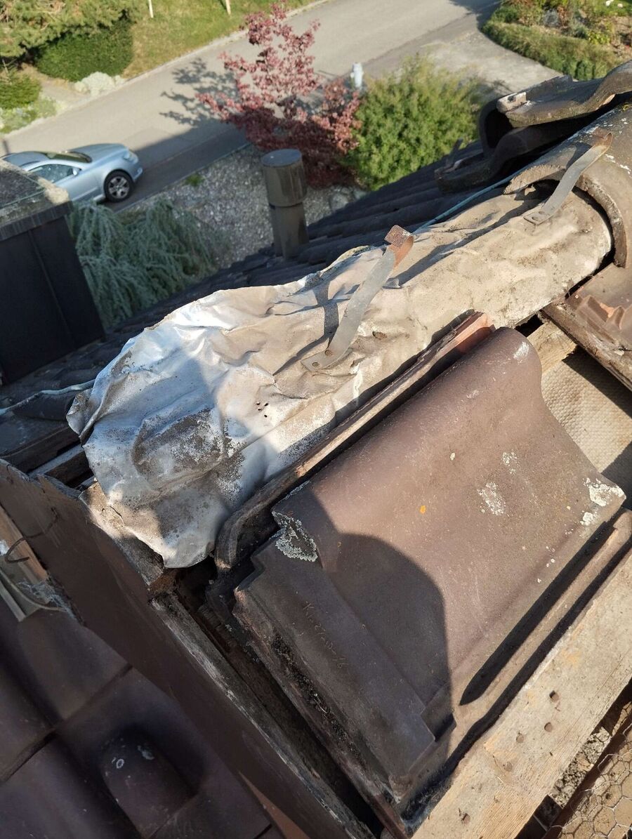  Bienennest entfernen.jpeg