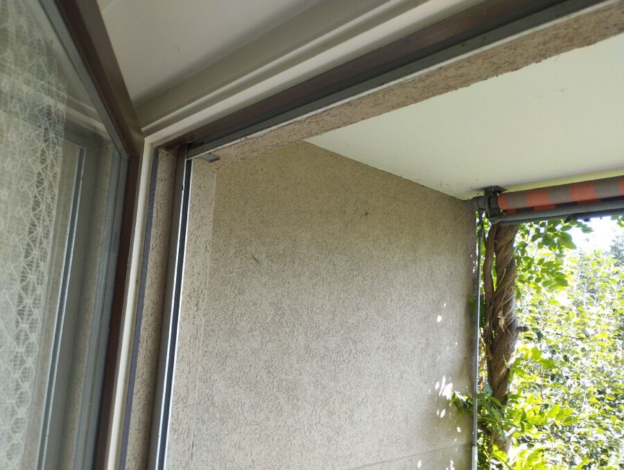  Bienennest entfernen.jpeg