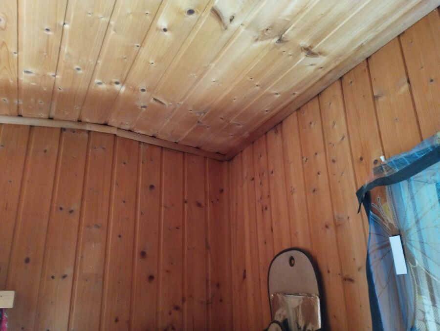 Bienen umsiedeln &  Bienennest entfernen 