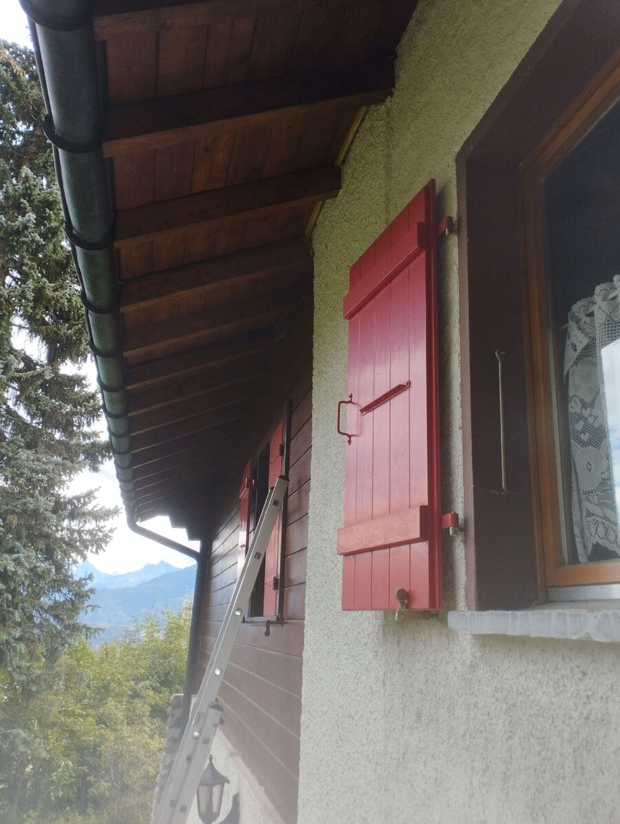  Bienennest entfernen.jpeg