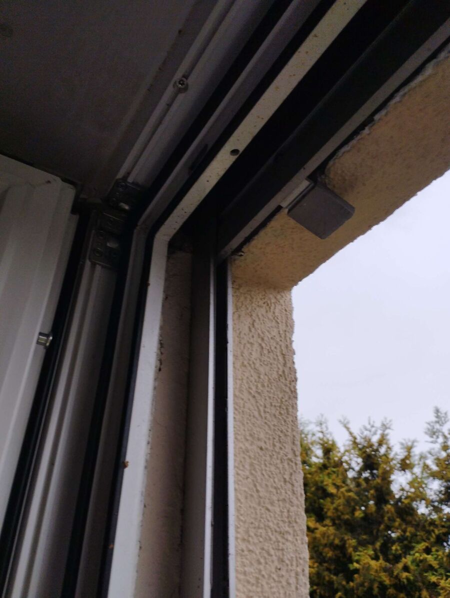 Bienen umsiedeln &  Bienennest entfernen 