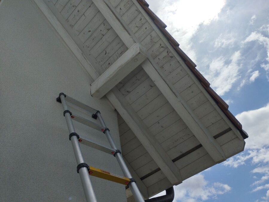  Bienennest entfernen.jpeg