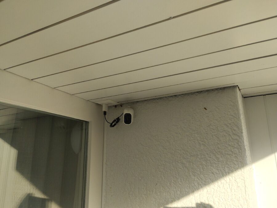  Bienennest entfernen