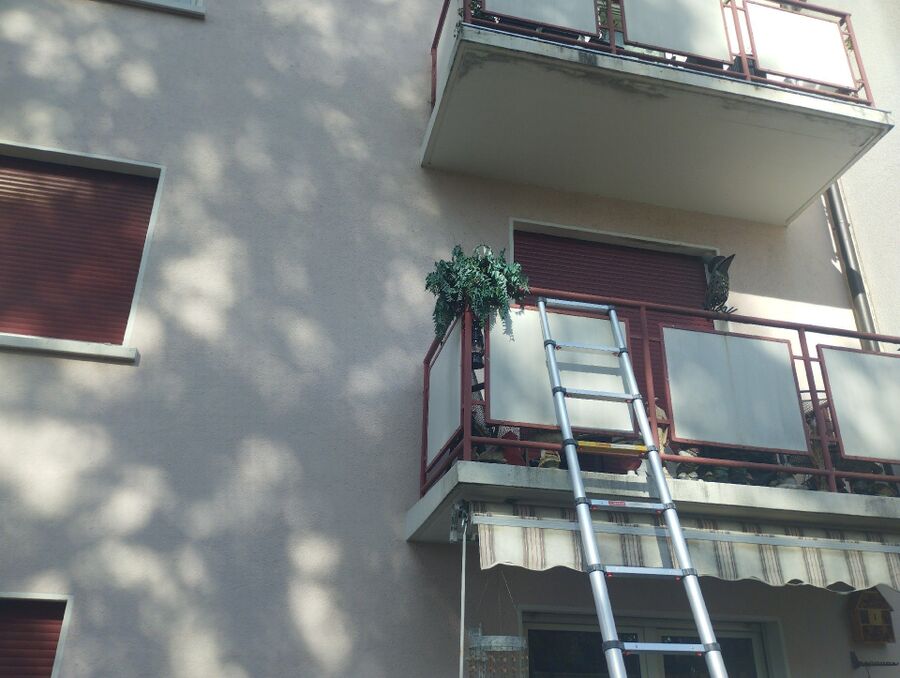  Bienennest entfernen.jpeg