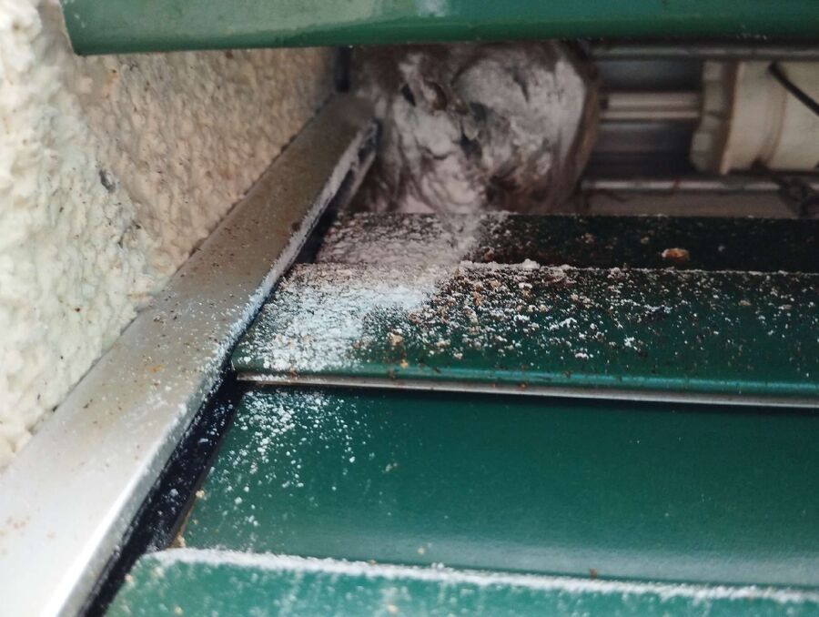  Bienennest entfernen.jpeg