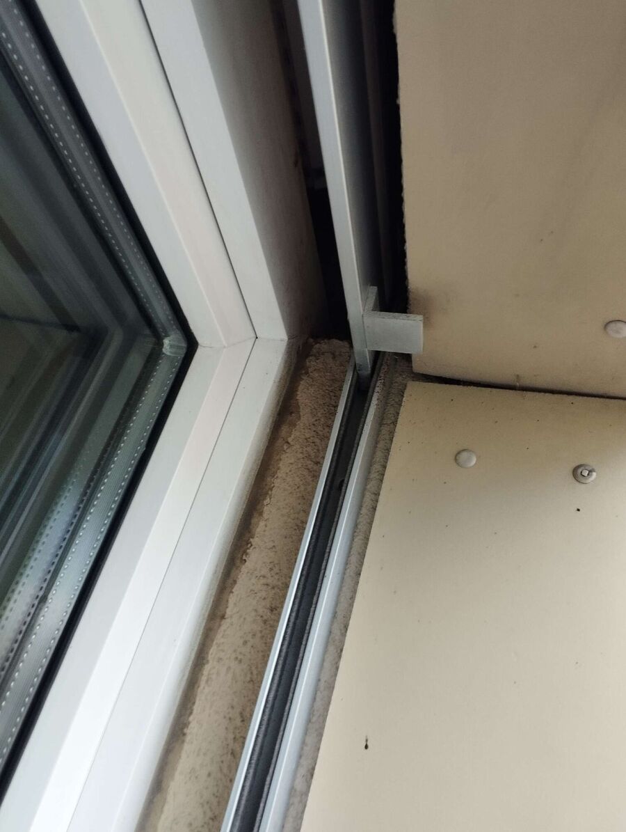  Bienennest entfernen.jpeg