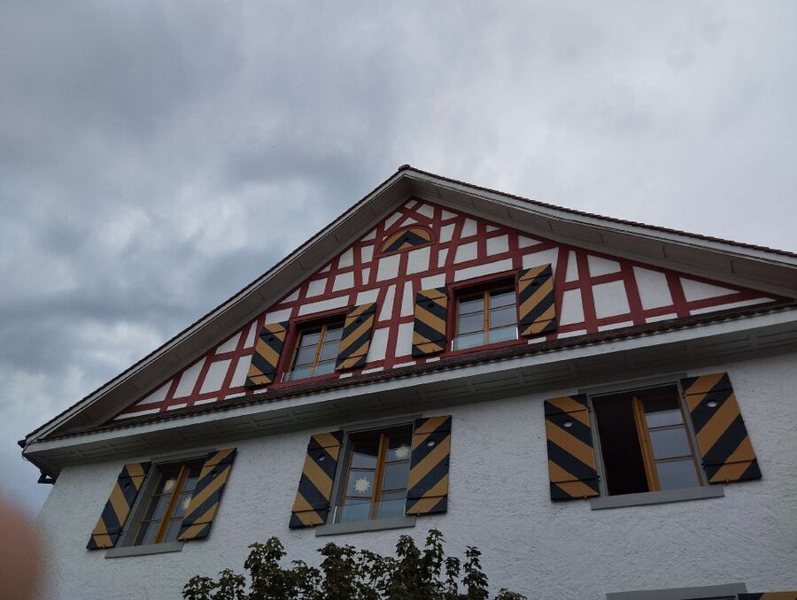  Bienennest entfernen.jpeg