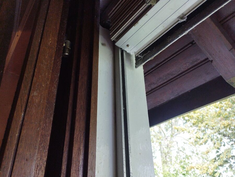  Bienennest entfernen