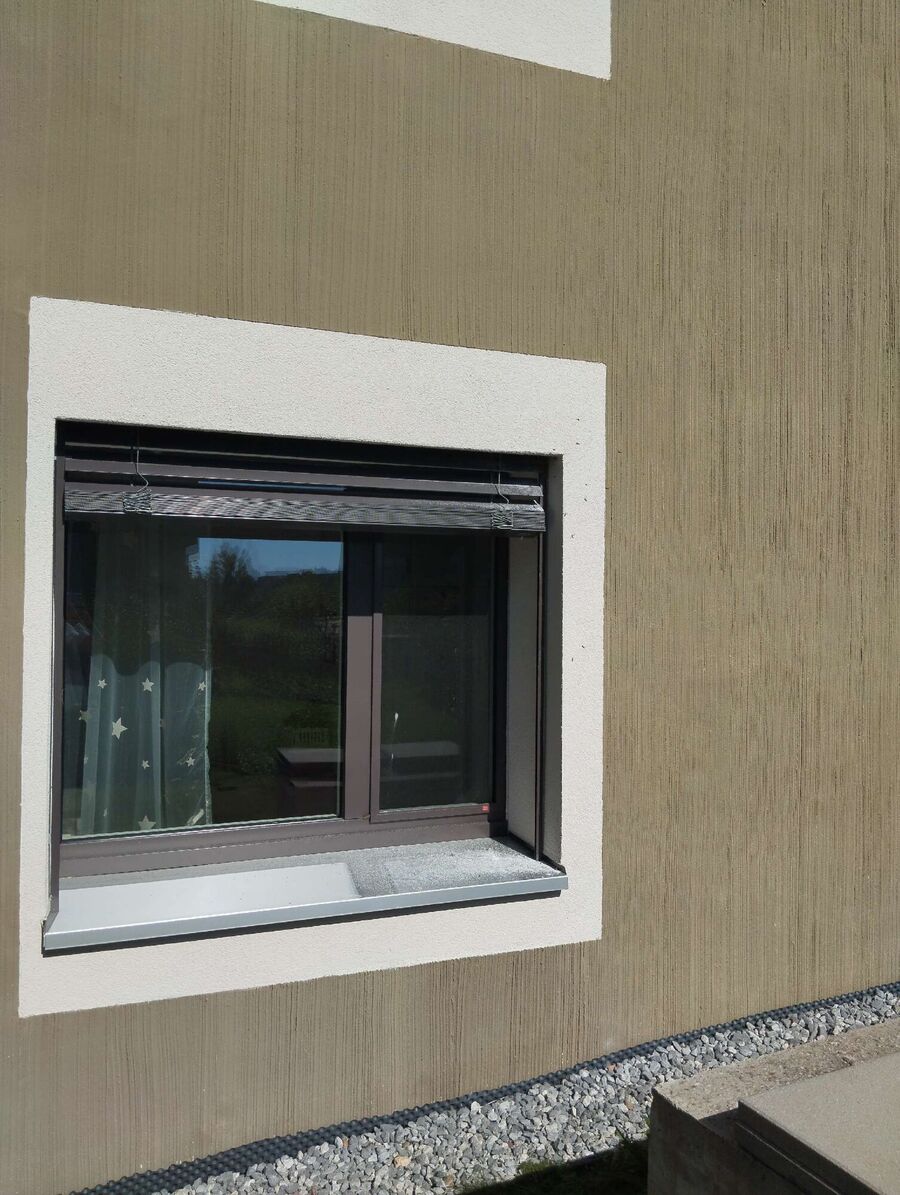 Bienen umsiedeln &  Bienennest entfernen 