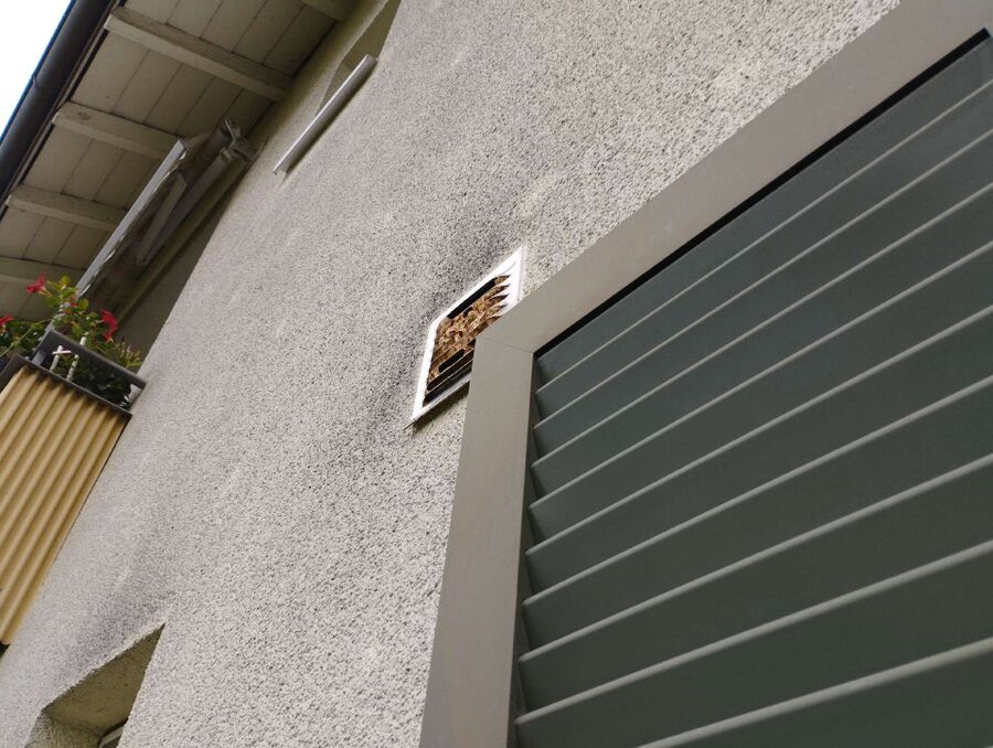  Bienennest entfernen