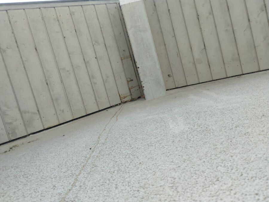  Bienennest entfernen.jpeg