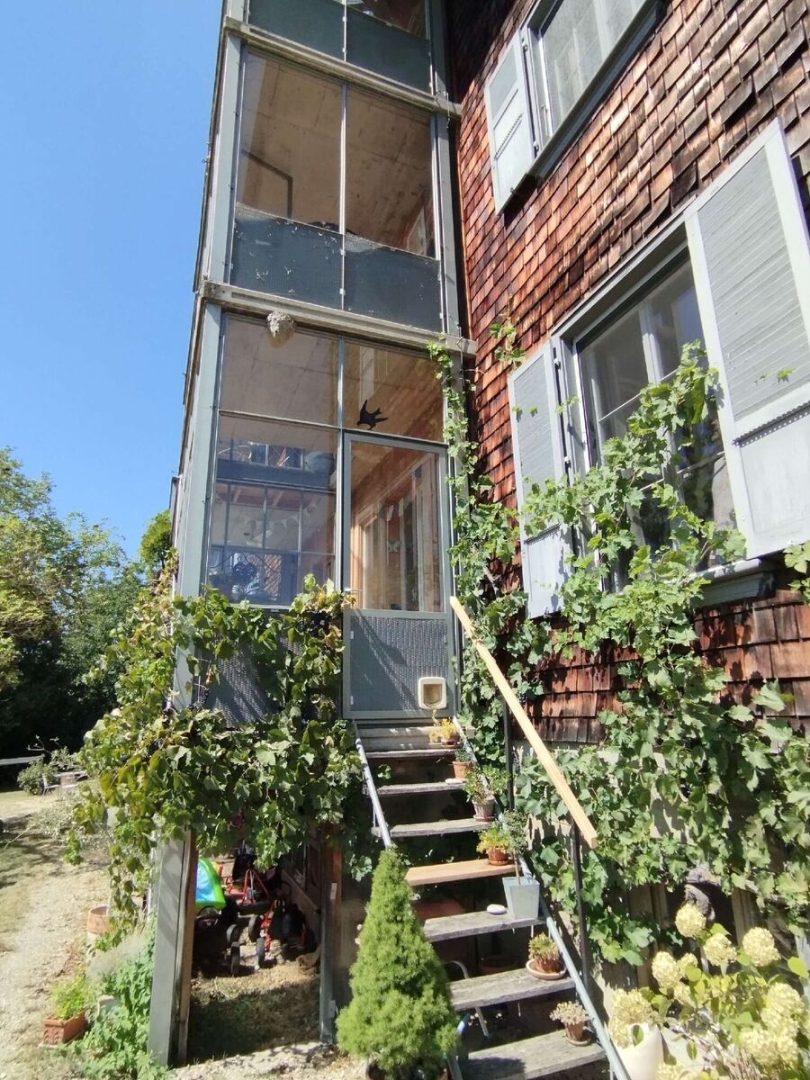  Bienennest entfernen