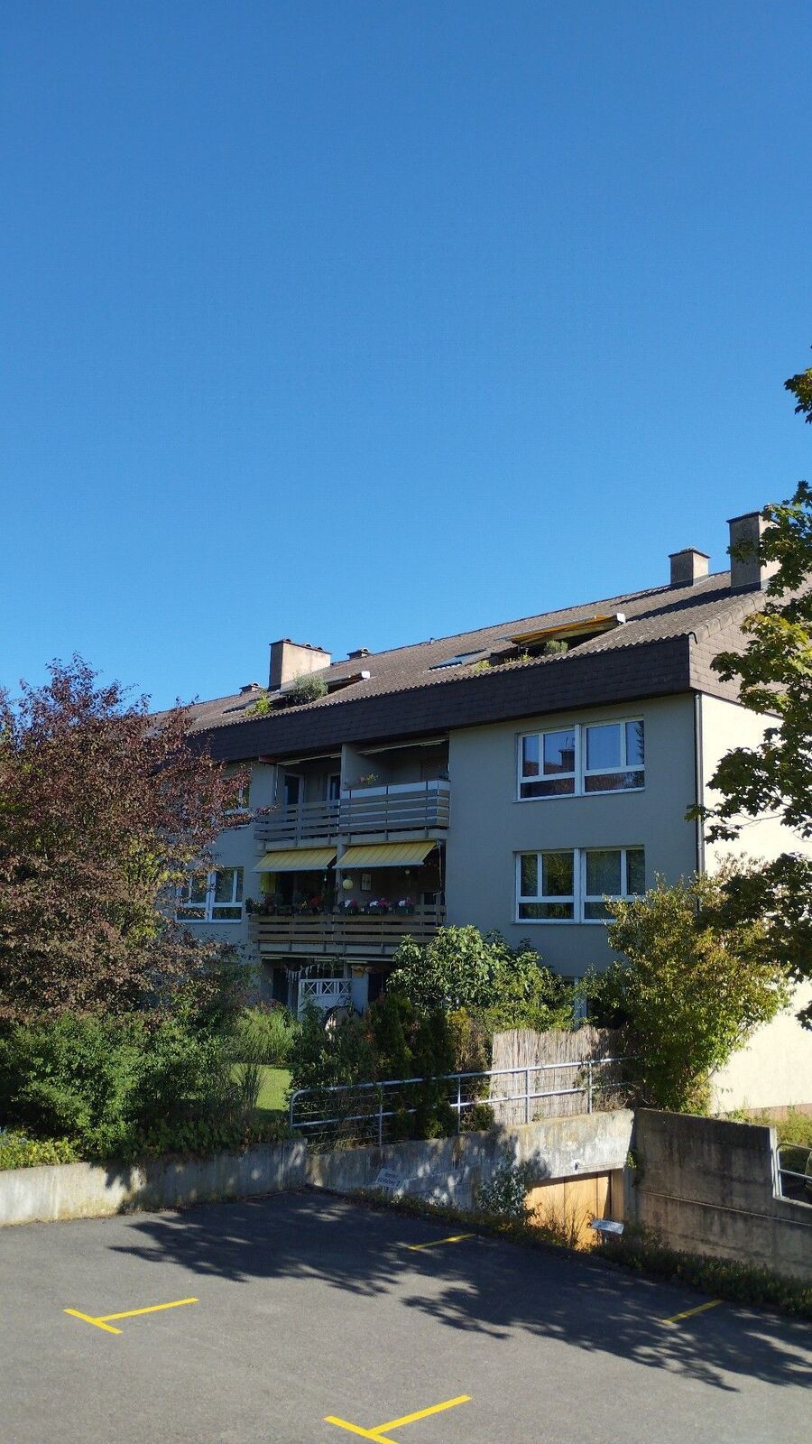 Bienen umsiedeln &  Bienennest entfernen 