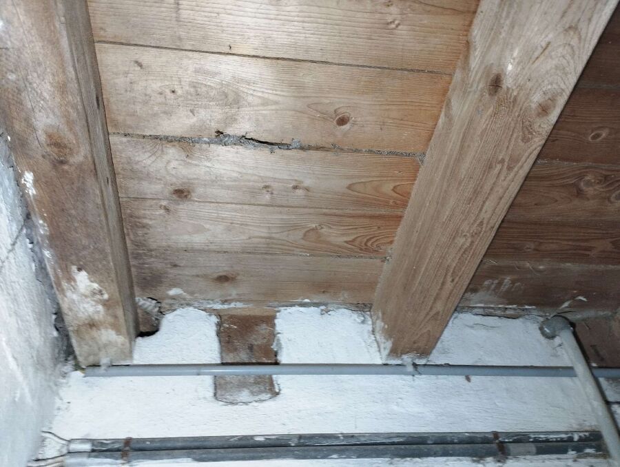  Bienennest entfernen.jpeg