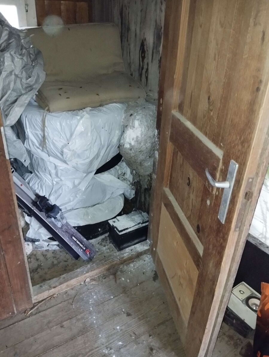  Bienennest entfernen