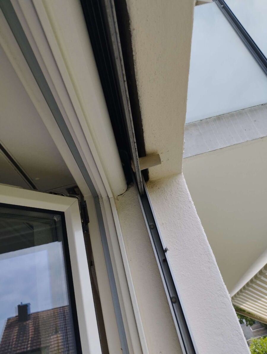  Bienennest entfernen