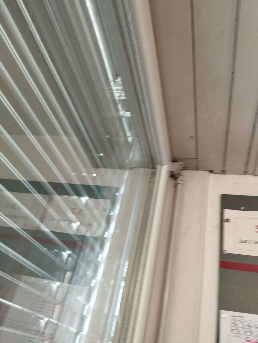 Bienen umsiedeln &  Bienennest entfernen 