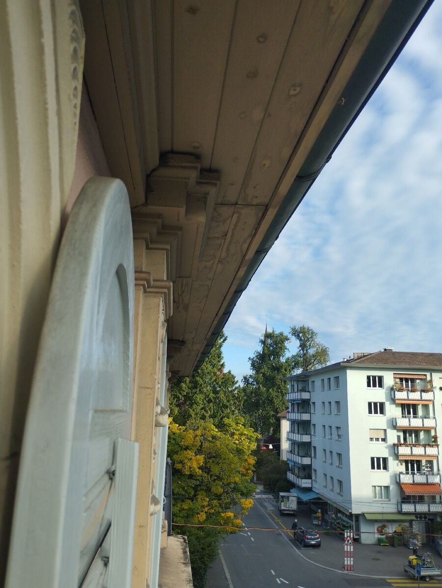  Bienennest entfernen