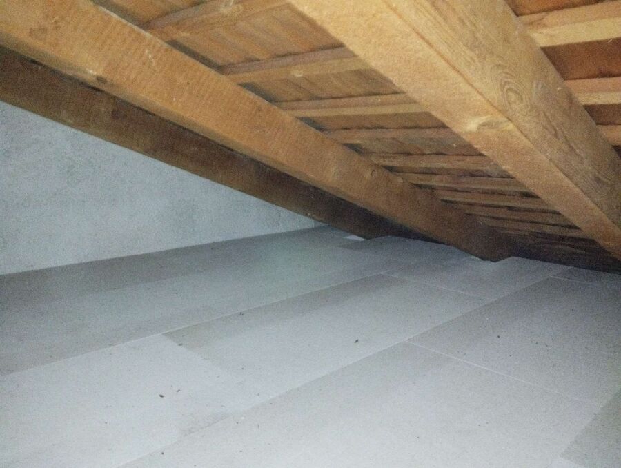  Bienennest entfernen