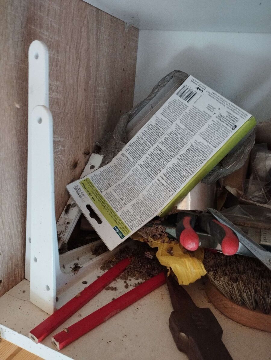  Bienennest entfernen