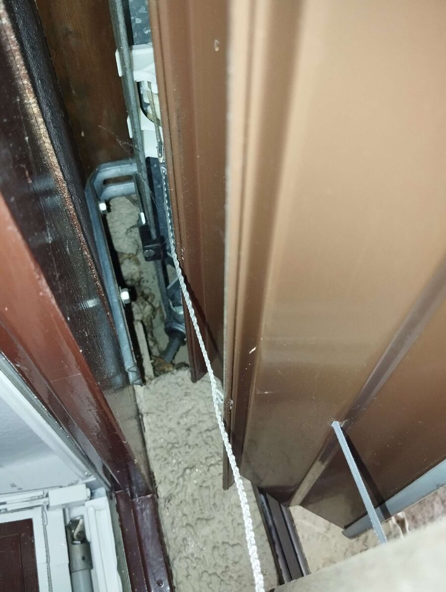 Bienen umsiedeln &  Bienennest entfernen 