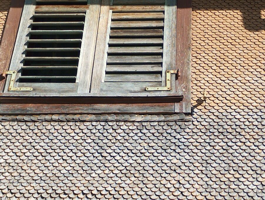 Bienen umsiedeln &  Bienennest entfernen 