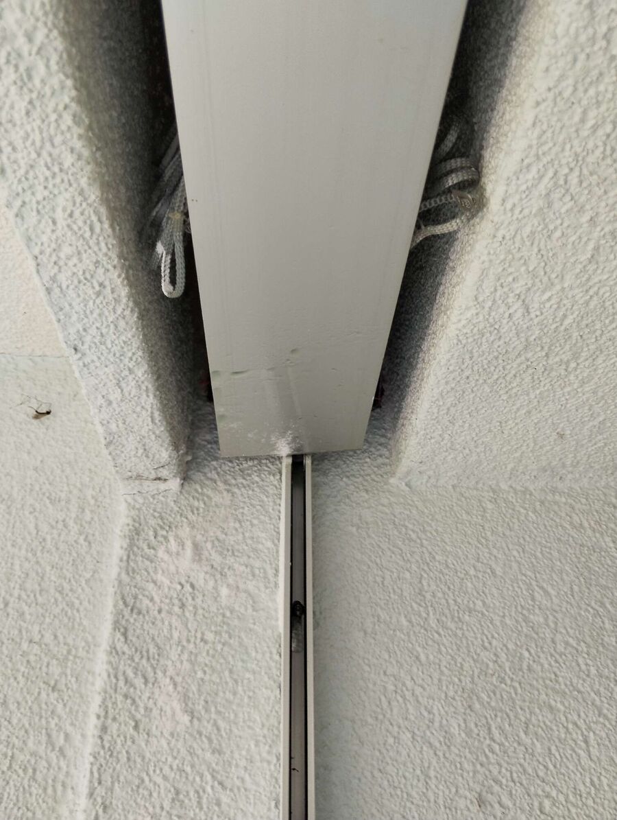 Bienen umsiedeln &  Bienennest entfernen 