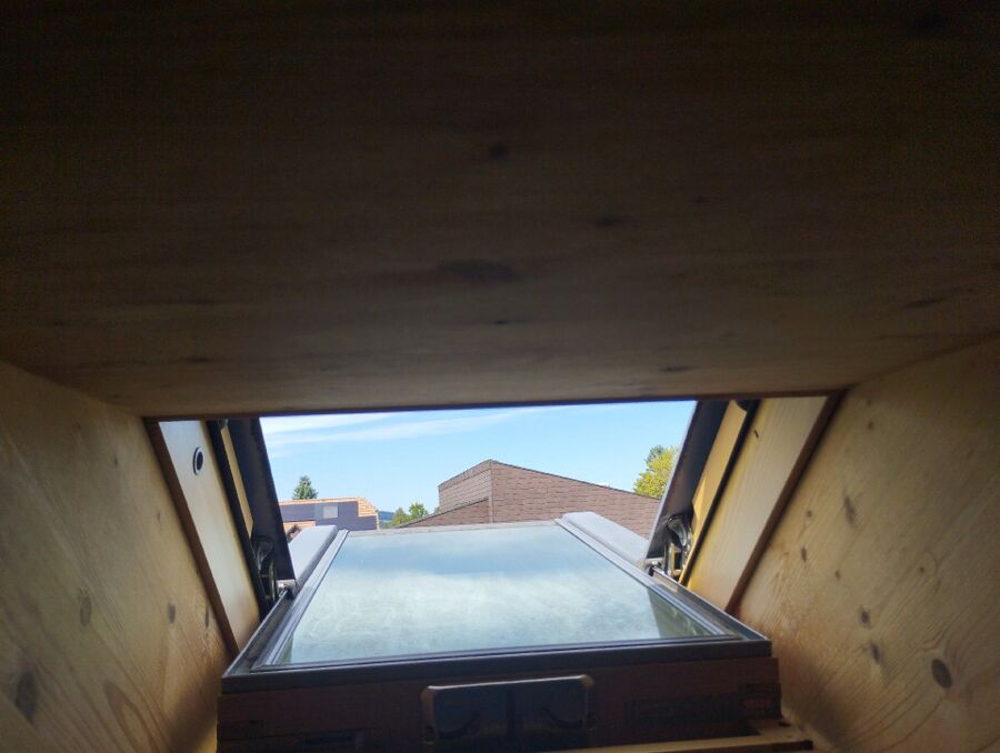  Bienennest entfernen.jpeg