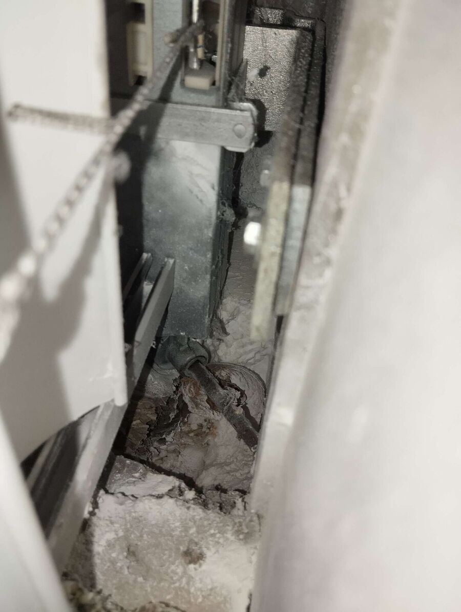 Bienen umsiedeln &  Bienennest entfernen 