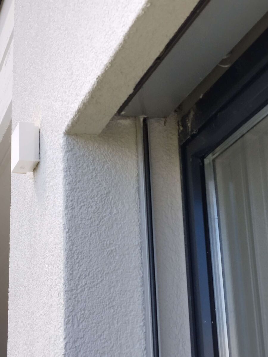  Bienennest entfernen