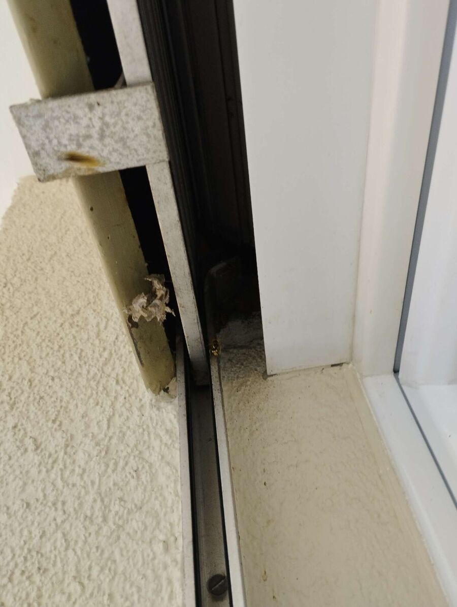  Bienennest entfernen.jpeg