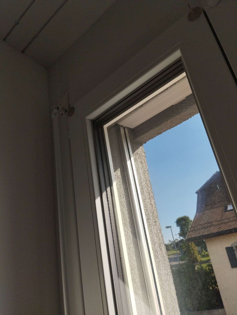 Bienen umsiedeln &  Bienennest entfernen 