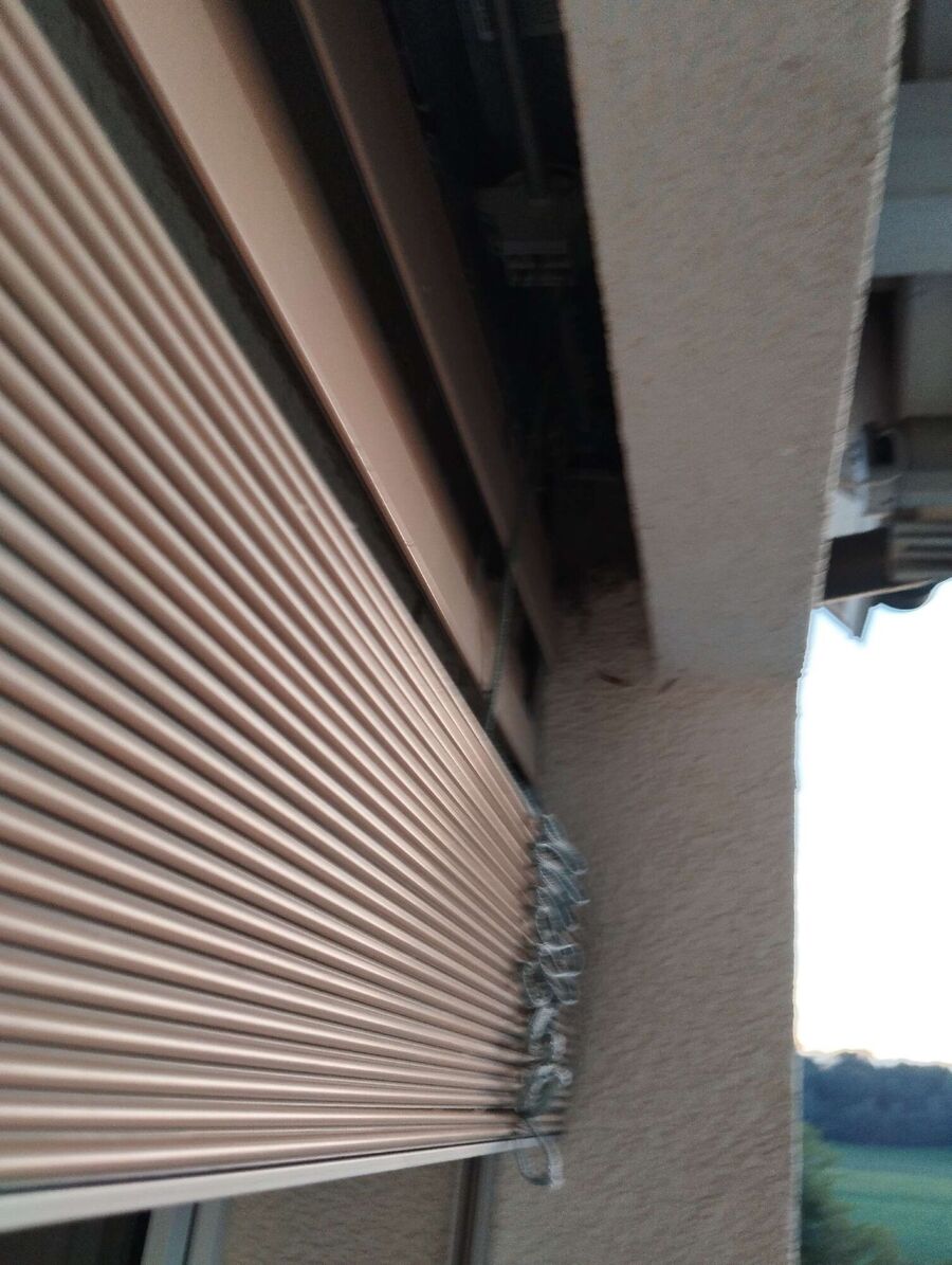  Bienennest entfernen