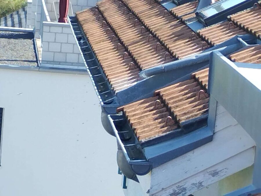  Bienennest entfernen