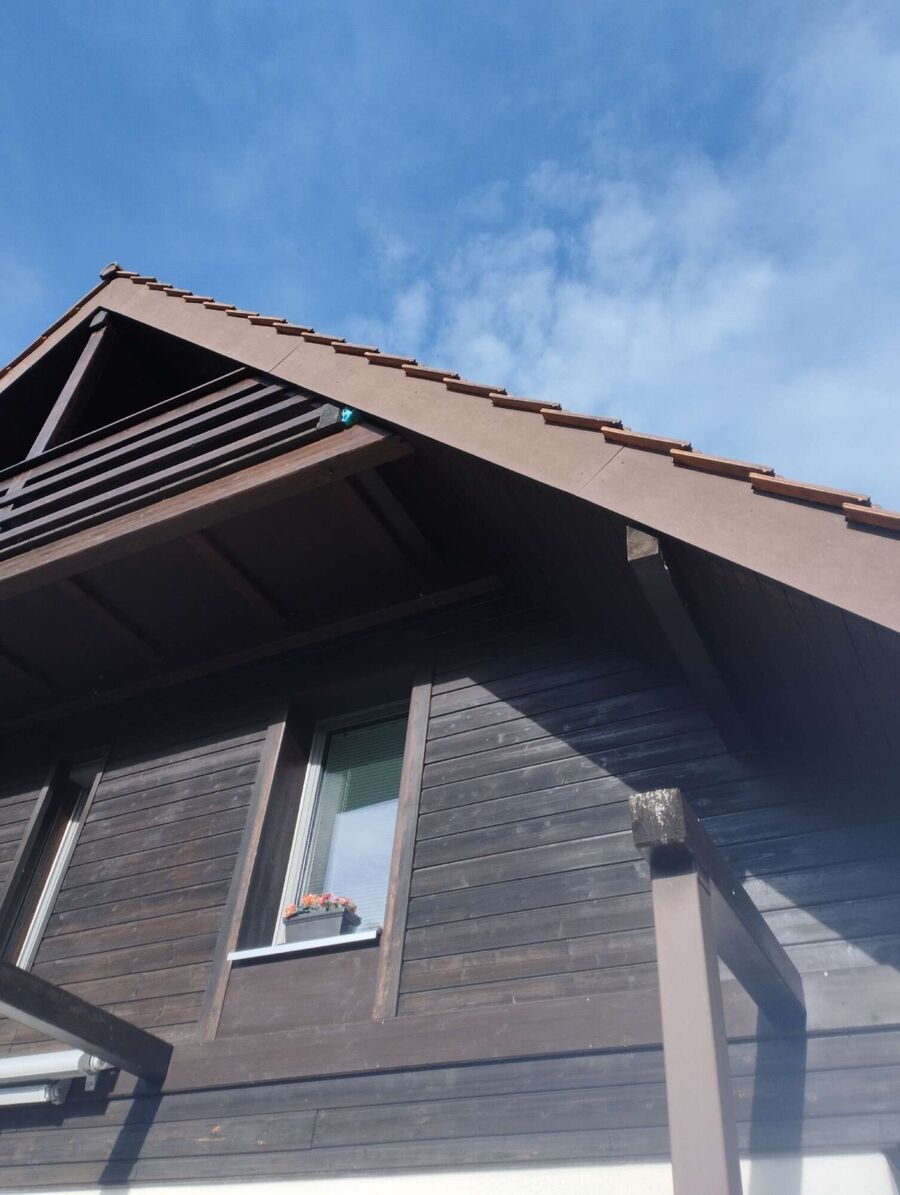 Bienen umsiedeln &  Bienennest entfernen 