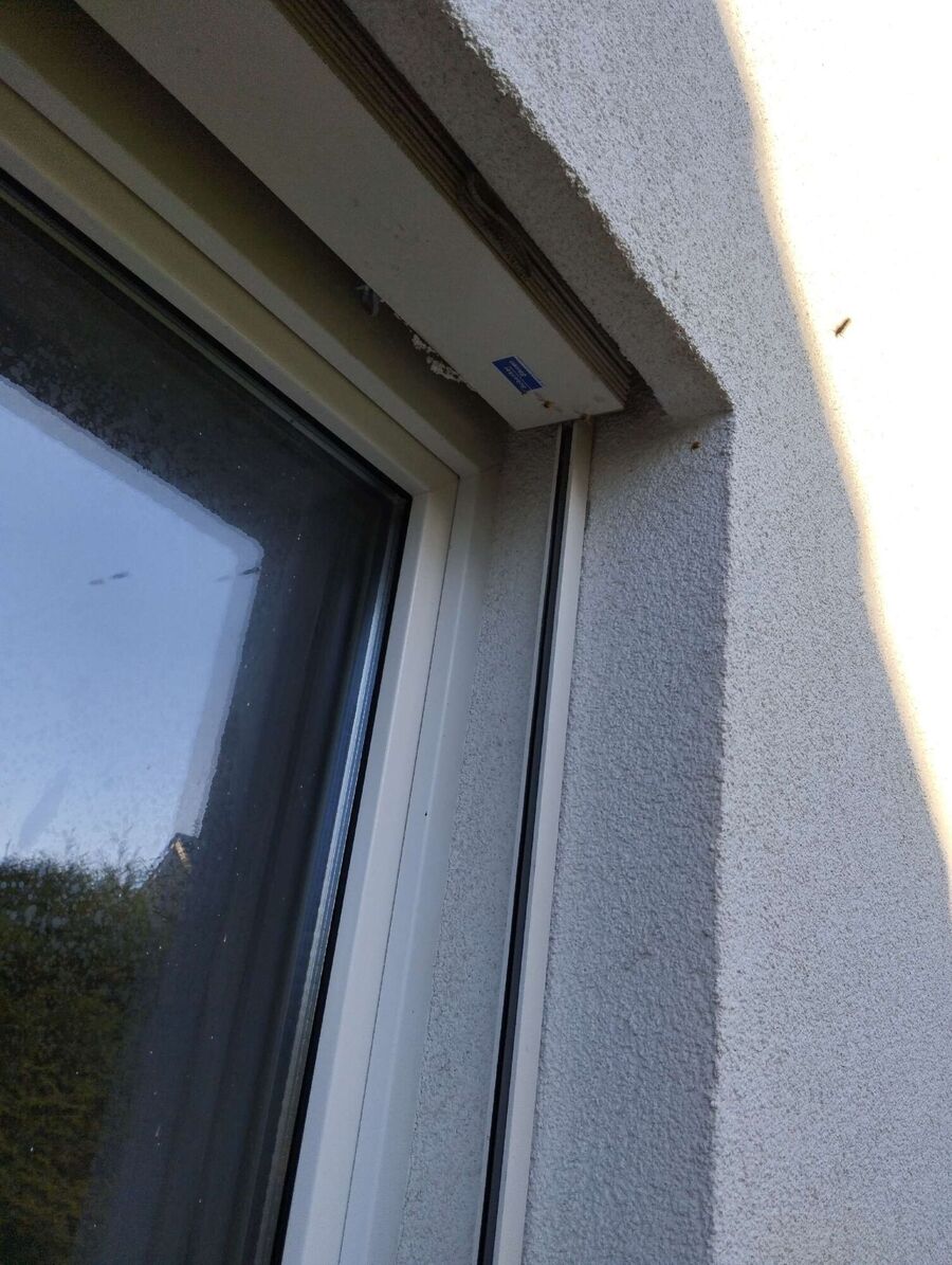 Bienen umsiedeln &  Bienennest entfernen 