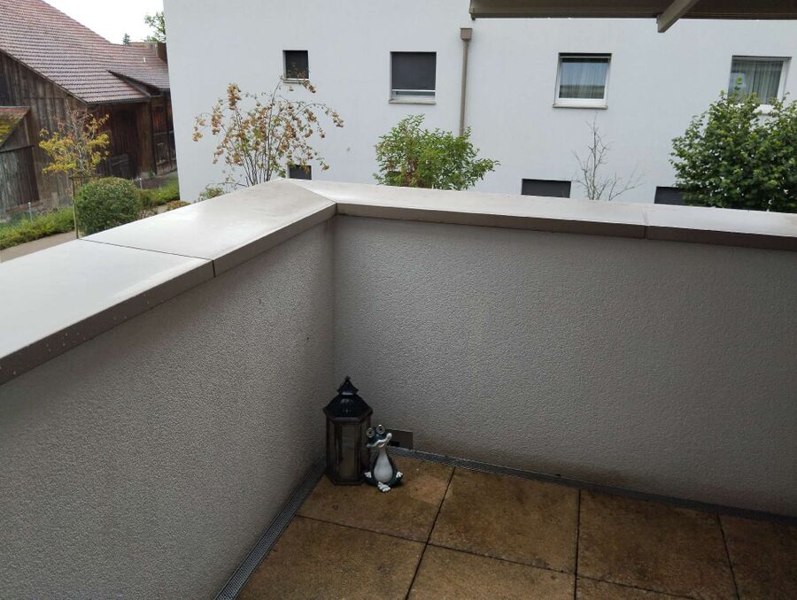  Bienennest entfernen