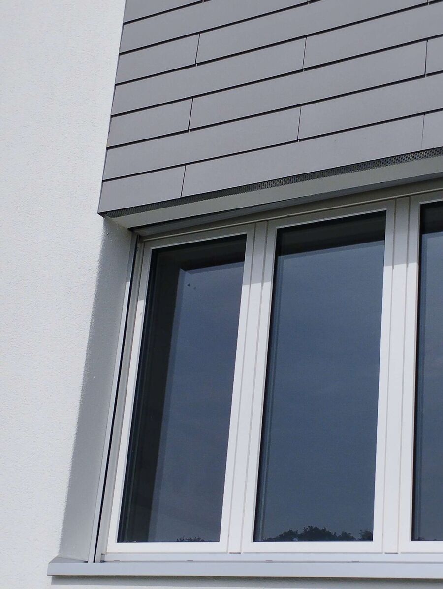  Bienennest entfernen