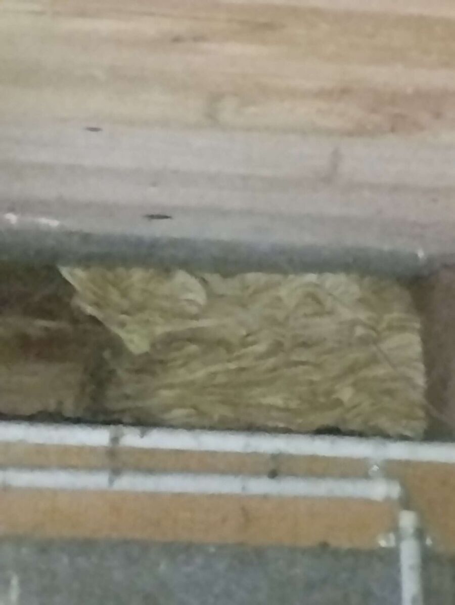  Bienennest entfernen