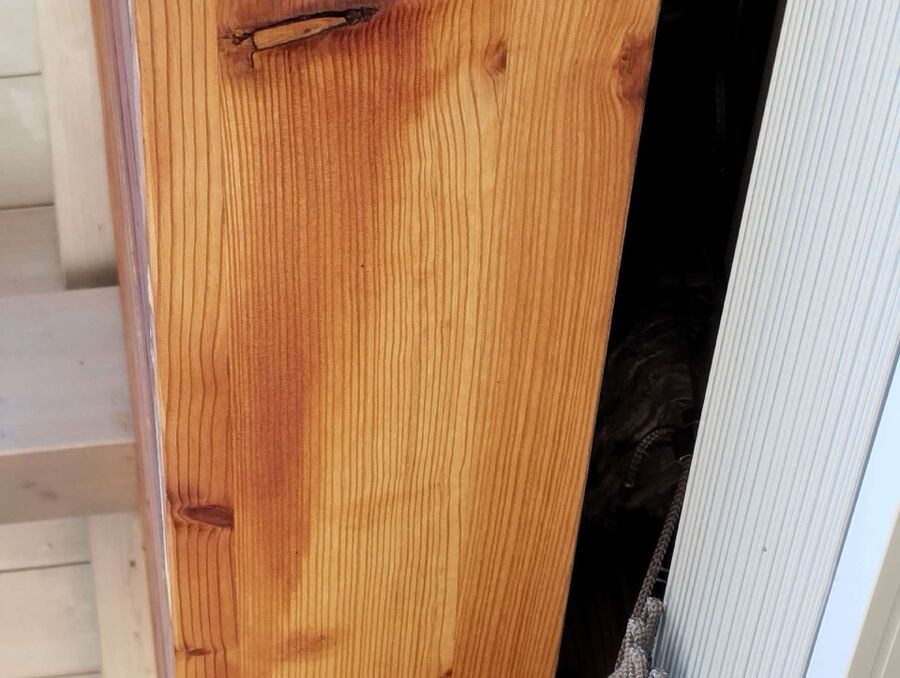 Bienen umsiedeln &  Bienennest entfernen 