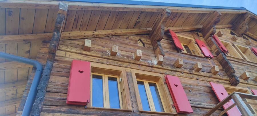  Bienennest entfernen